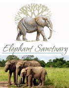 Elephant Sanctuary