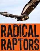 Radical Raptor