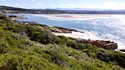 Plett