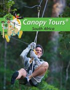 Canopy Tours