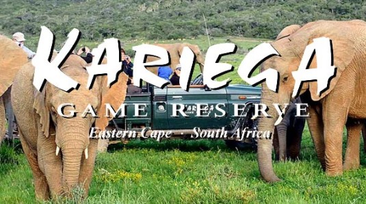 Kariega Game Reserve